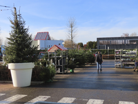 851433 Afbeelding van de buitenverkoop van onder andere kerstbomen bij de entree van Intratuin Leidsche Rijn ...